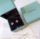 AAA Replica Tiffany Schlumberger Lynn Earrings With Diamond (2)_th.jpg